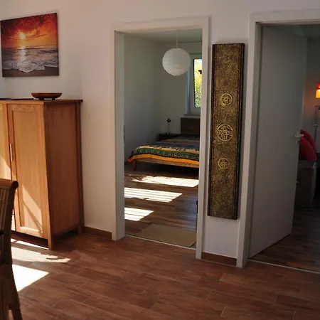 Sonnenblume Elmenhorst/Lichtenhagen