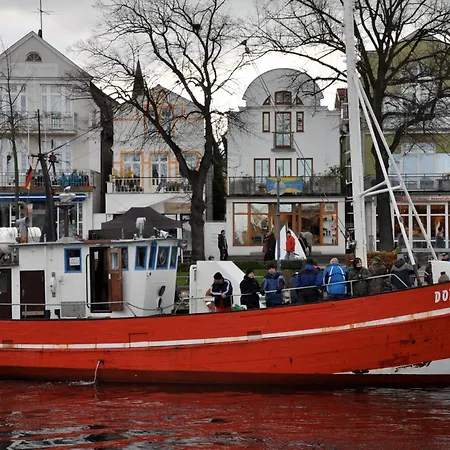 Sonnenblume Elmenhorst/Lichtenhagen