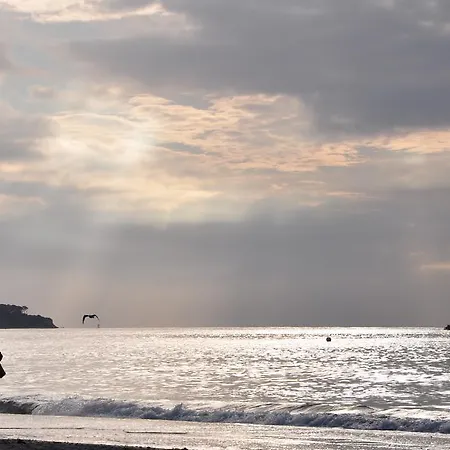 Sonnenblume בית נופש *