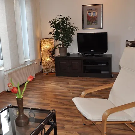 Sonnenblume * Elmenhorst/Lichtenhagen